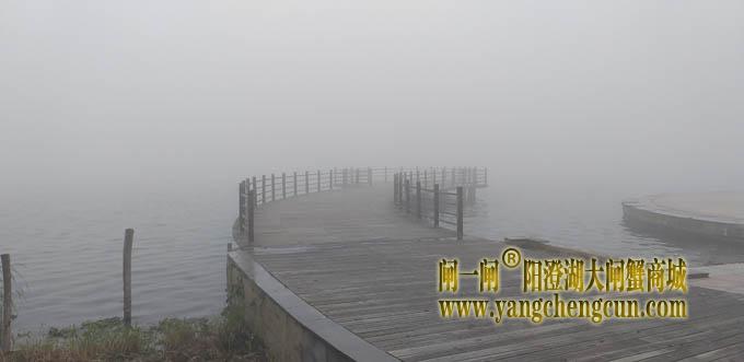 阳澄湖半岛大雾天