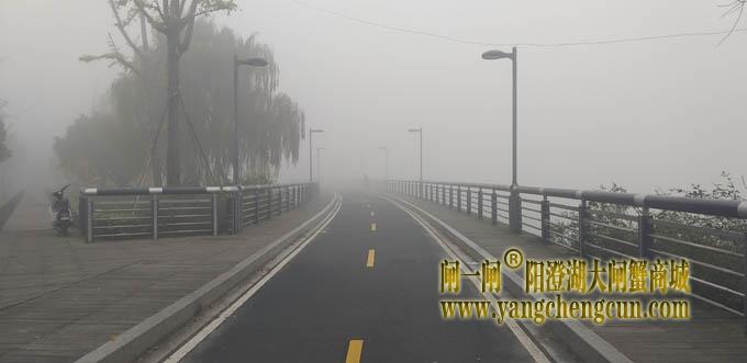 阳澄湖半岛大雾天