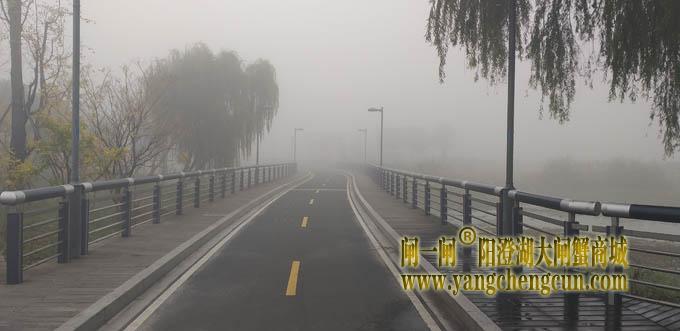 阳澄湖半岛大雾天