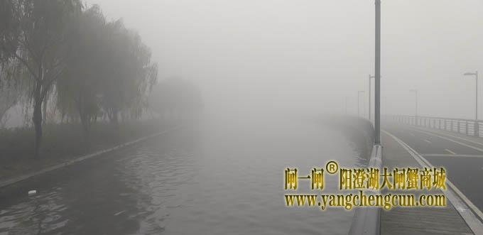 阳澄湖半岛大雾天