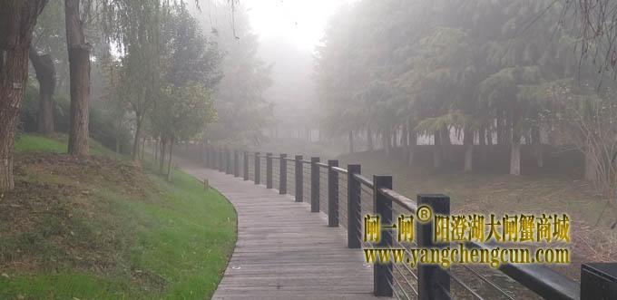 阳澄湖半岛大雾天
