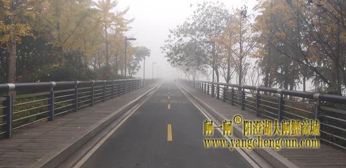 阳澄湖半岛大雾天