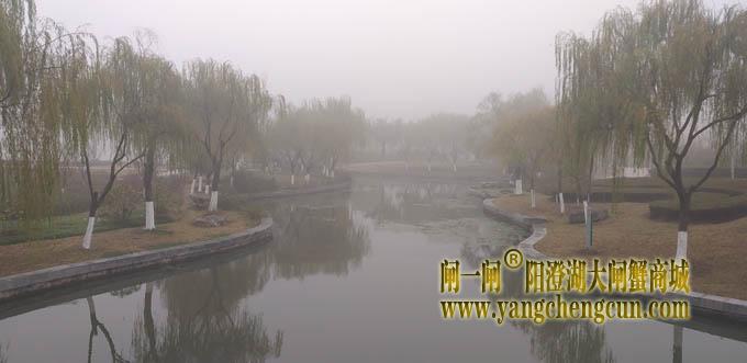 阳澄湖半岛大雾天