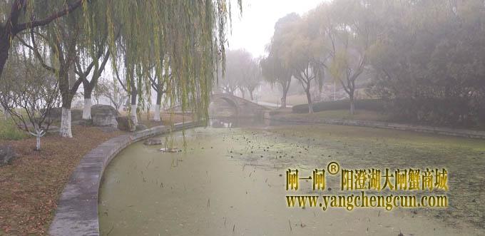 阳澄湖半岛大雾天