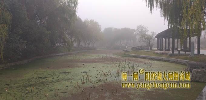 阳澄湖半岛大雾天
