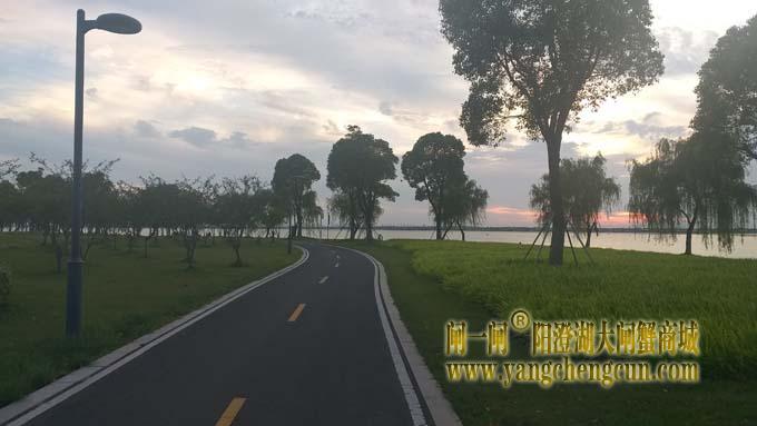 阳澄湖半岛-日落时分
