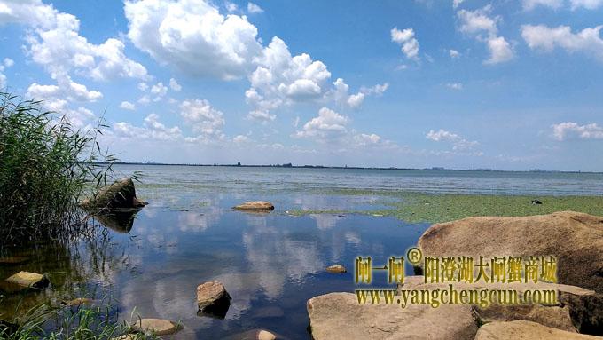 阳澄湖畔——生态湿地公园