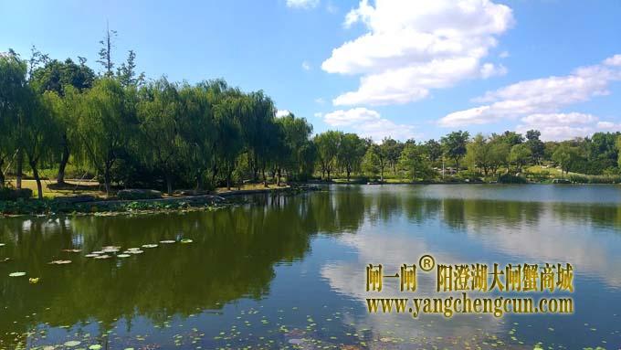 阳澄湖半岛风景——莲池湖秋色