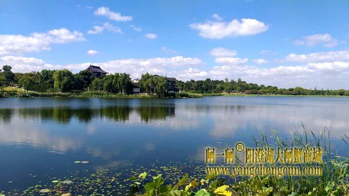 阳澄湖半岛风景——莲池湖秋色