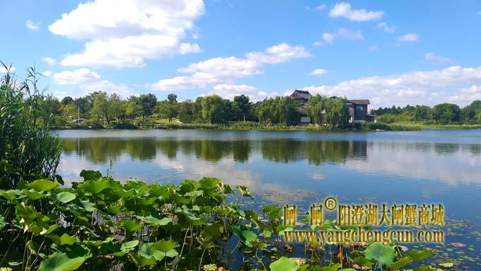 阳澄湖半岛风景——莲池湖秋色