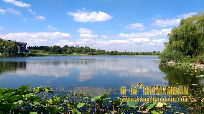 阳澄湖半岛风景——莲池湖秋色