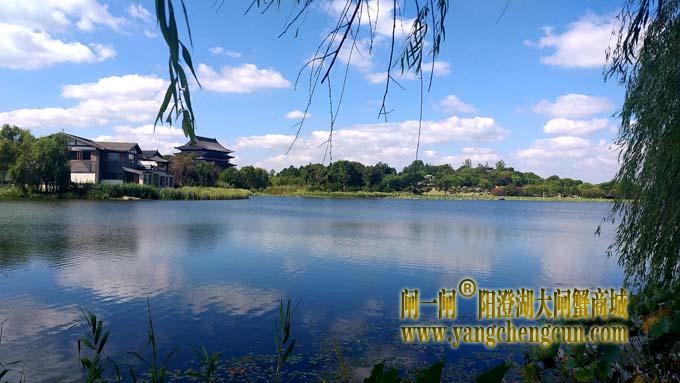 阳澄湖半岛风景——莲池湖秋色