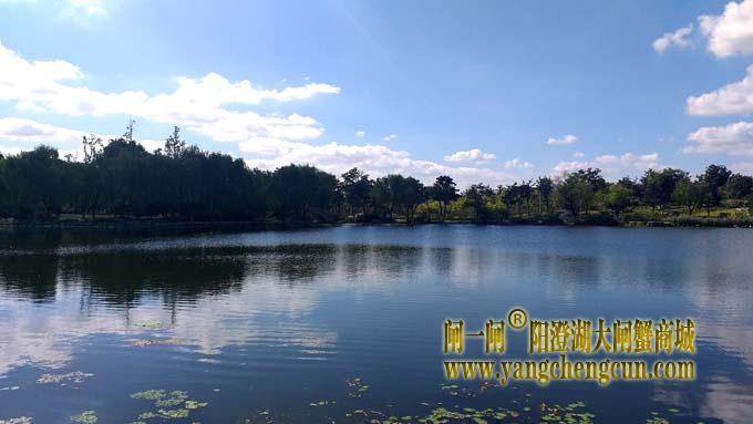 阳澄湖半岛风景——莲池湖秋色