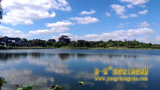 阳澄湖半岛风景——莲池湖秋色