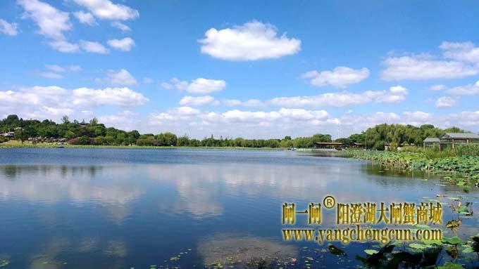 阳澄湖半岛风景——莲池湖秋色