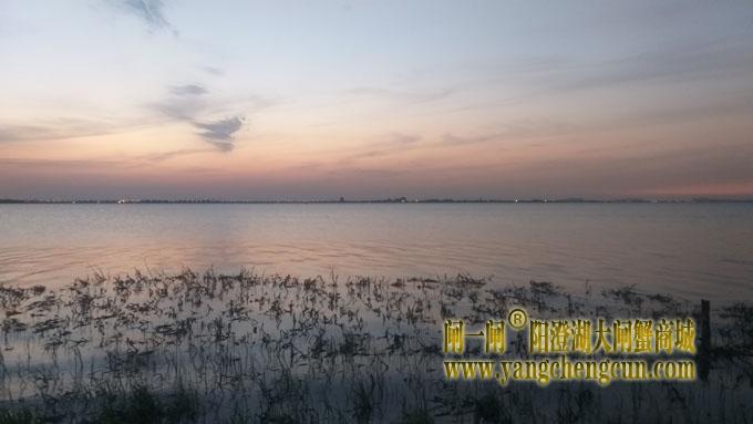 阳澄湖（黄昏时分）
