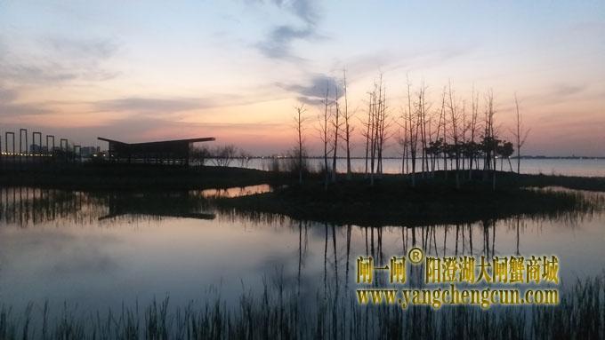 阳澄湖（黄昏时分）