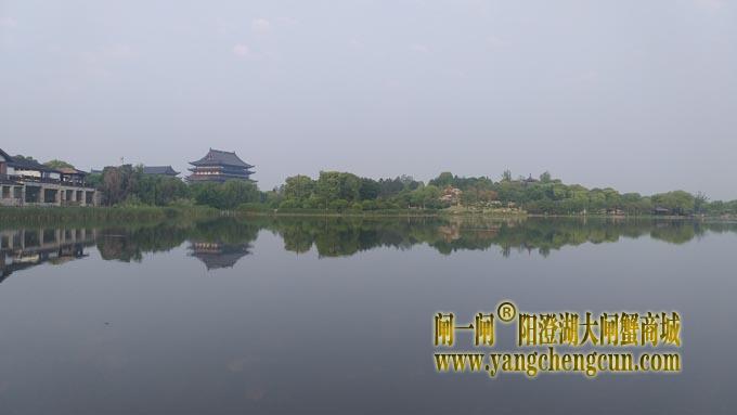阳澄湖半岛——莲池春晓