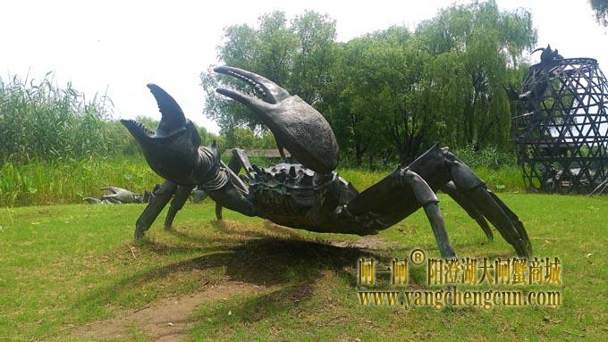 阳澄湖半岛——莲池湖的荷花开了