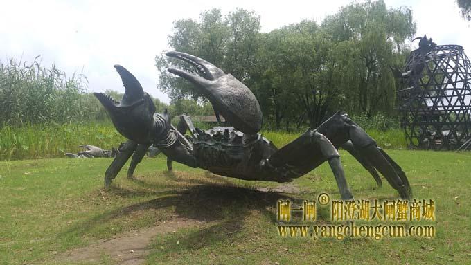 莲池湖大闸蟹