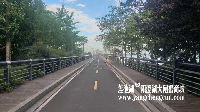 阳澄湖半岛——清晨