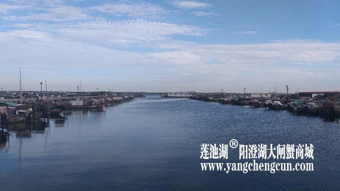 阳澄湖半岛——清晨