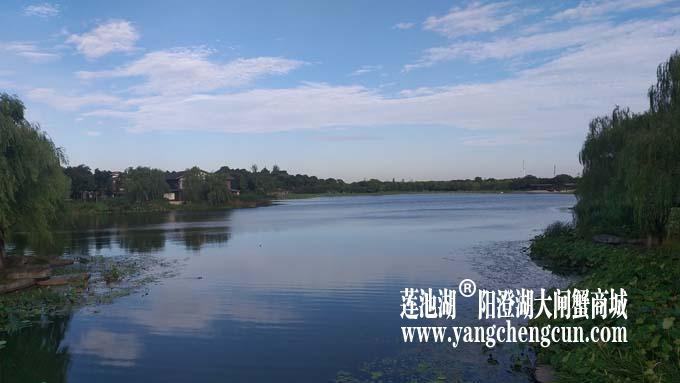 阳澄湖半岛——清晨