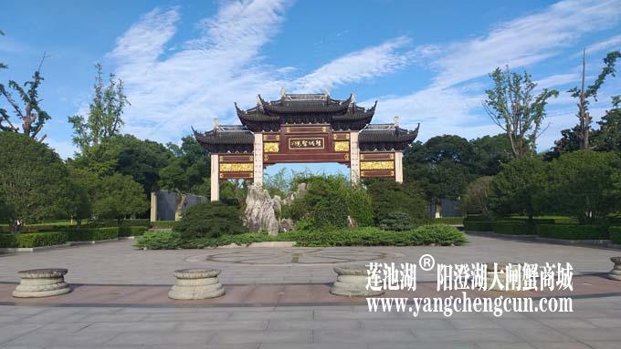 阳澄湖半岛——清晨
