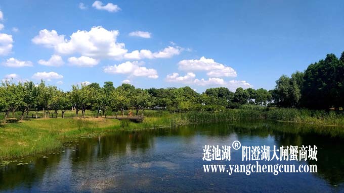 阳澄湖半岛-水晶天