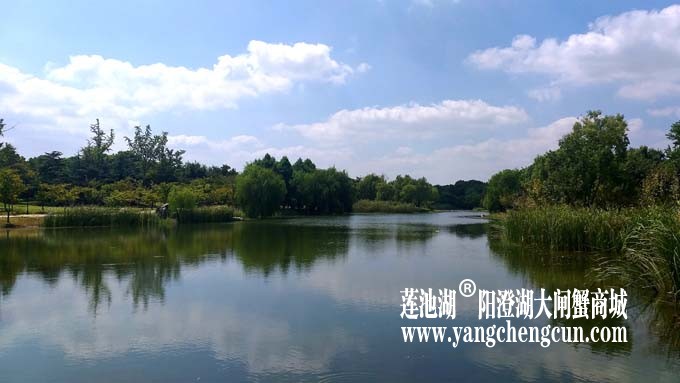 阳澄湖半岛-水晶天