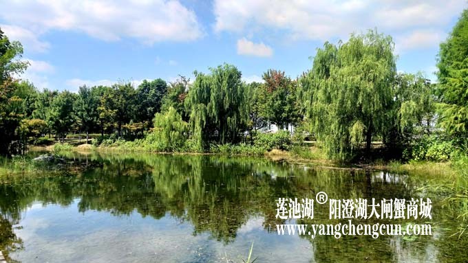阳澄湖半岛-水晶天