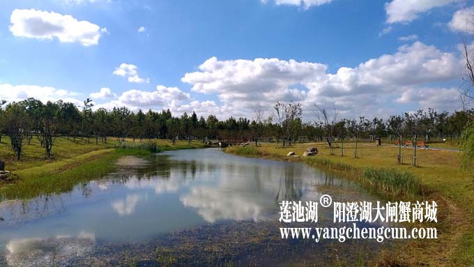 阳澄湖半岛-水晶天
