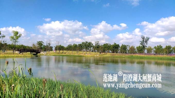 阳澄湖半岛-水晶天