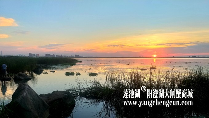 阳澄湖日落