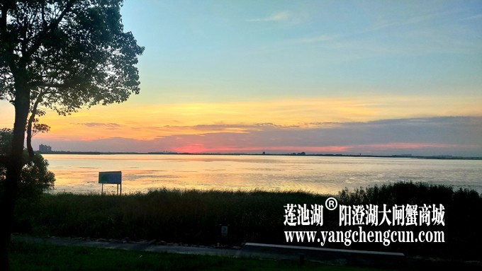 阳澄湖日落