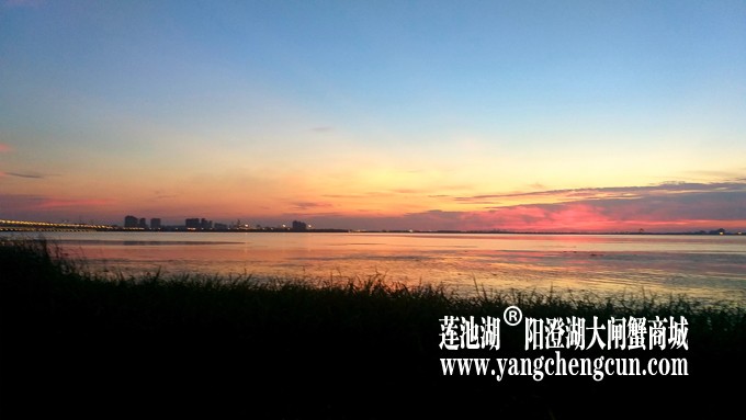 阳澄湖日落
