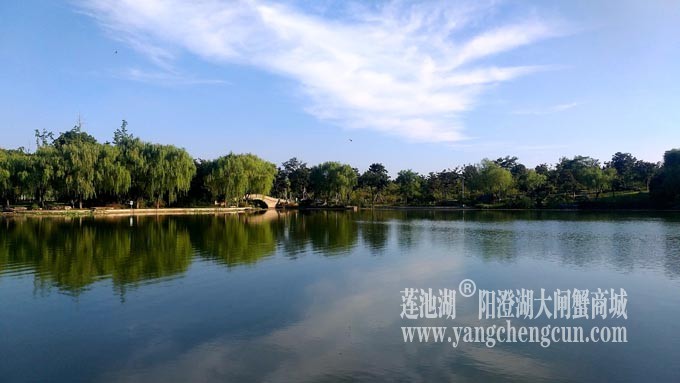 莲池湖