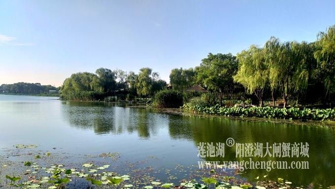 莲池湖