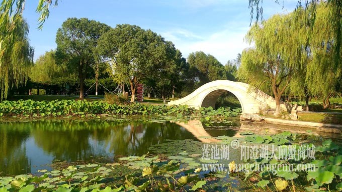 莲池湖
