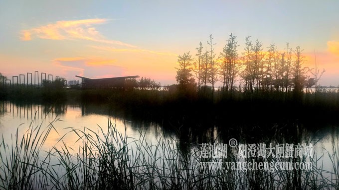阳澄湖畔看夕阳