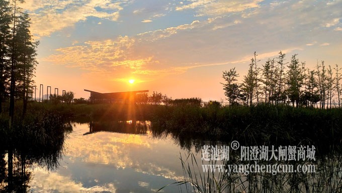 阳澄湖畔-又见夕阳红