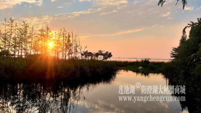 阳澄湖畔-又见夕阳红