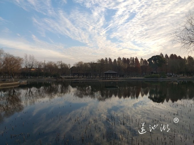 莲池湖冬早