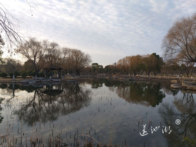 莲池湖冬早