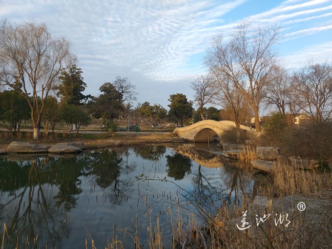 莲池湖冬早