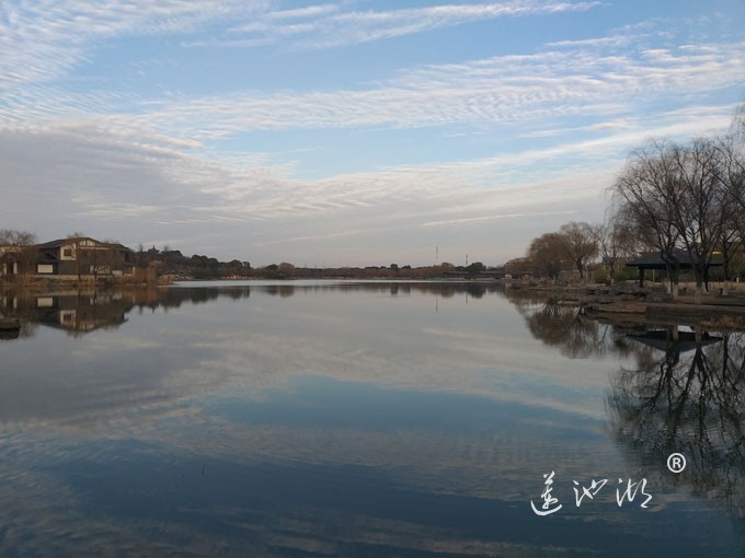莲池湖冬早