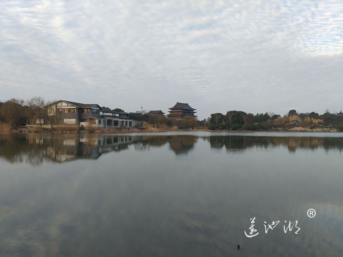莲池湖冬早