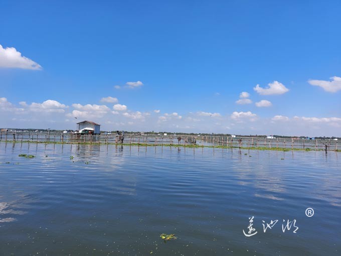 阳澄湖上水晶天（图片）