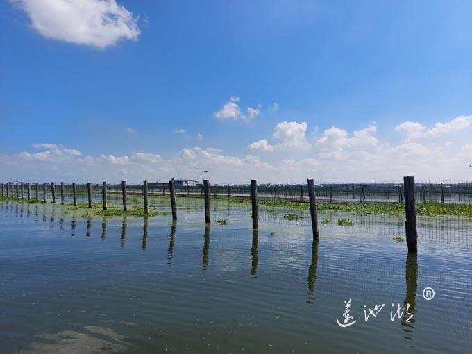 阳澄湖上水晶天（图片）