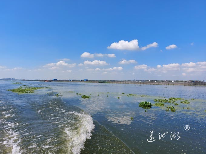 阳澄湖上水晶天（图片）